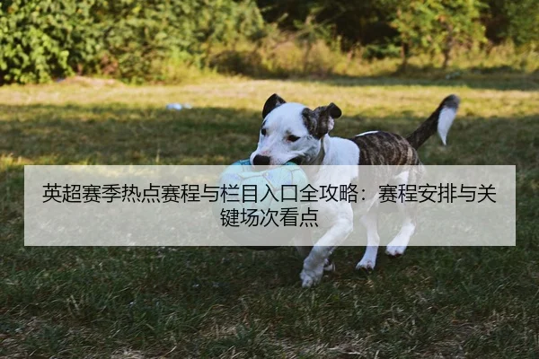 英超赛季热点赛程与栏目入口全攻略：赛程安排与关键场次看点